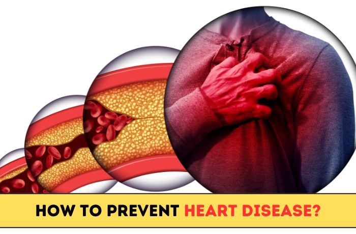 How To Prevent Heart Disease?